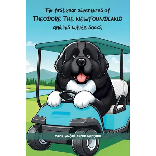 The First Year Adventures Of Theodore The Newfoundland And His White Socks