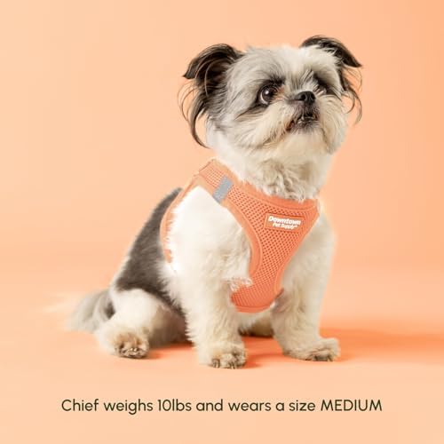 Pastel Step-In Harness for Small Dogs