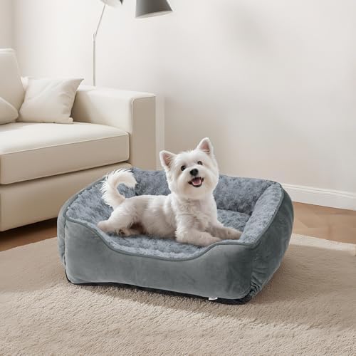 JOEJOY Rectangle Dog Bed for Large Medium Small Dogs
