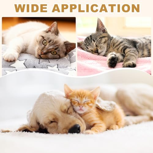 Dog Cat Bed Mat, Soft Coral Fleece Pet Cushion Pad