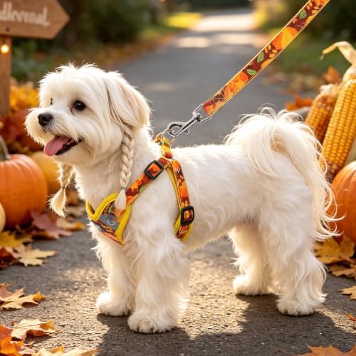 PUPTECK Thanksgiving Dog Harness and Leash Set Small Sized, Step in No Pull
