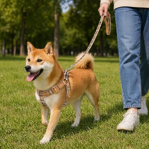 Cute Plaid Dog Harness & Leash Set, Adjustable No‑Pull Safety Buckle Harness