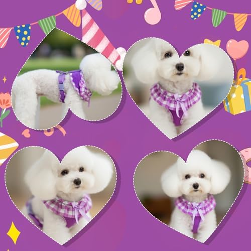 EXPAWLORER Step-in Dog Harness Small Sized Collar and Leash Set