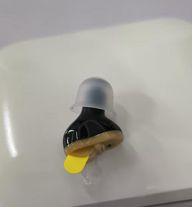 Hearing Aid