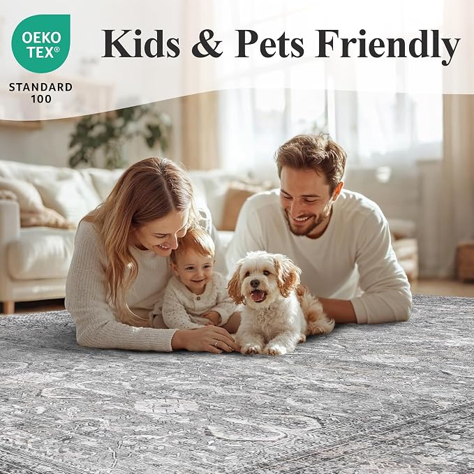 Schweek Grey 5x7 Area Rug for Living Room Washable Vintage Neutral Rugs | Non