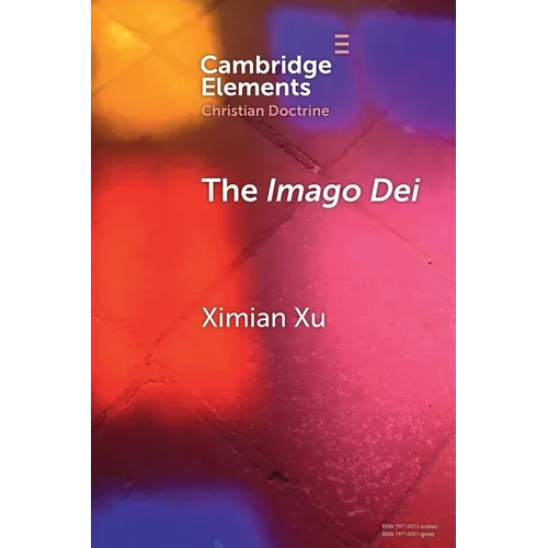 The Imago Dei: A Holistic Account