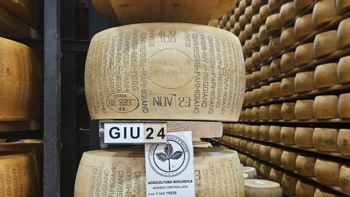 Parmigiano Reggiano Wheel | Aged 26+ months | ~85 pounds
