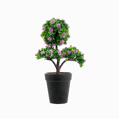Fiore Round Purple Plastic Mini Crape Myrtle in Plastic Pot - 7 1/2" x 4" x 11" - 12 count box