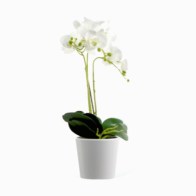 Fiore White Plastic Orchid in Plastic Pot - 12 Blooms - 5 1/2" x 5 1/2" x 19" - 6 count box