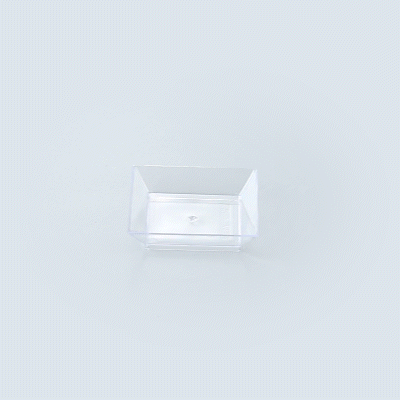 Mini Serve Square Clear Plastic Mini Modern Plate - 2 1/2" x 2 1/2" x 1/2" - 100 count box
