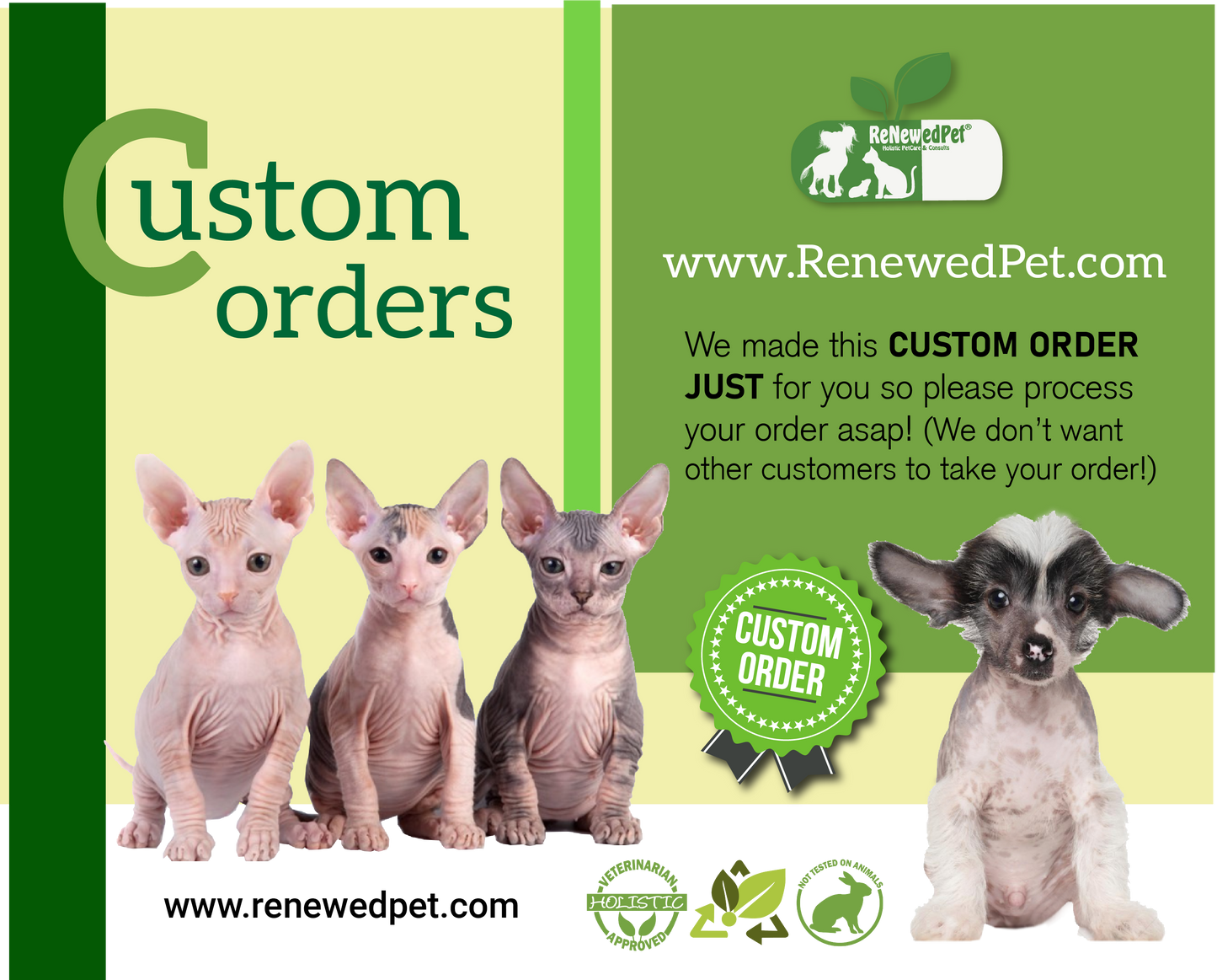 (1) Sample Reg. Hairless Cat Kit