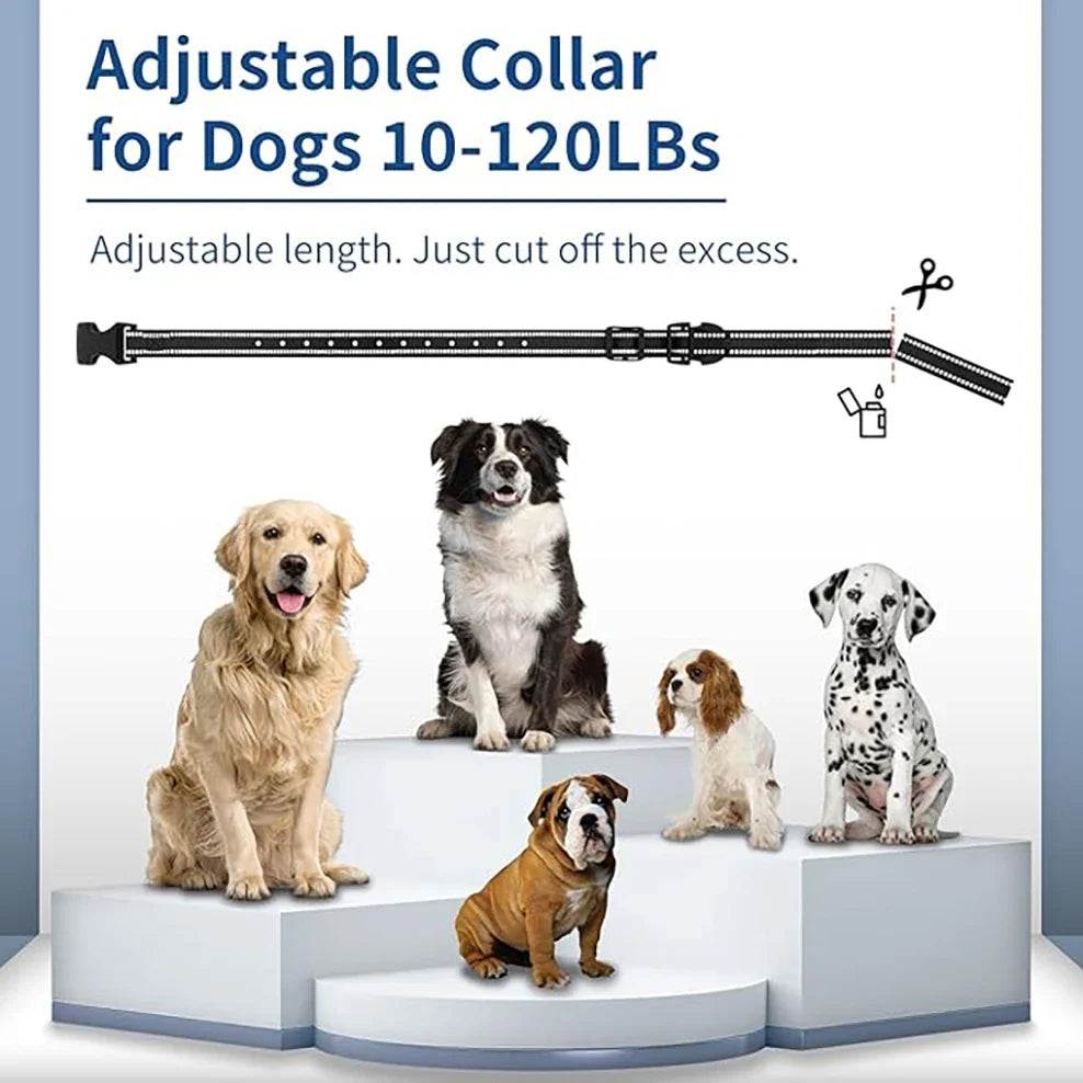 4 Working Modes Dog Training Collar(0-10 Levels), 4900FT Remote Control, IP67 Waterproof Rechargeable Collar for All Size Dogs