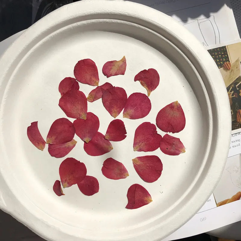 120Pcs Rose Petals Mixed Pack, Dried Flowers, Pressed Flowers, Handmade Resin Decorations, Nail Art, Face Stickers, Phone Case Materials