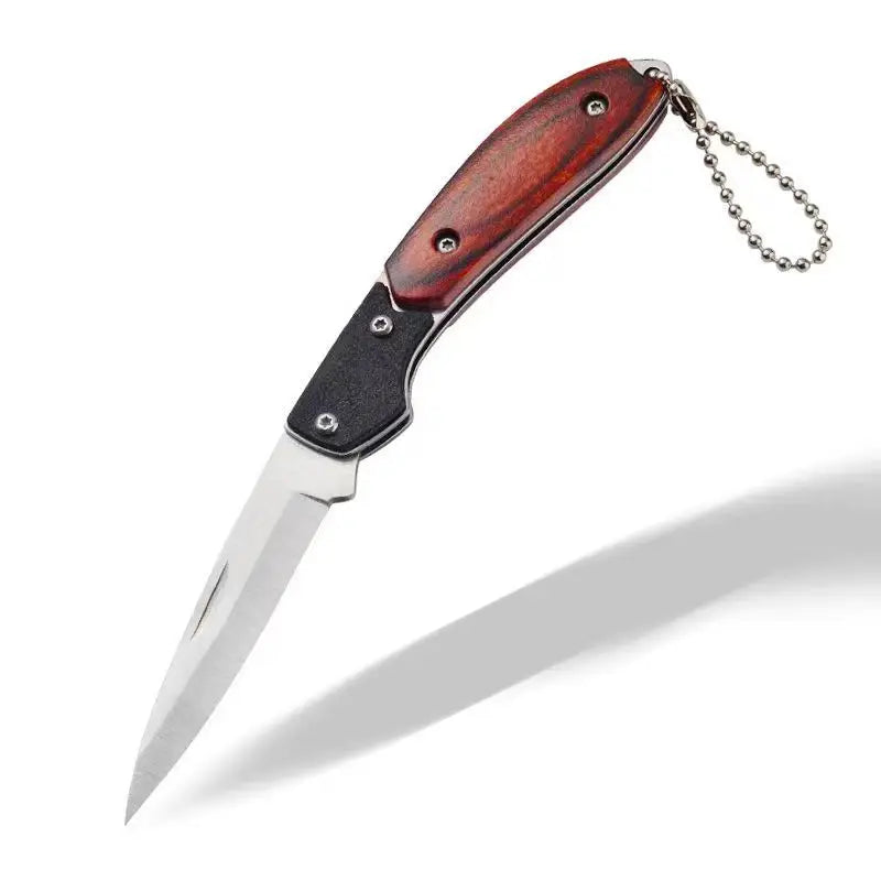 Folding Knife Stainless Steel Outdoor Knife Multifunctional Mini Knife Portable Keychain Fruit Knife
