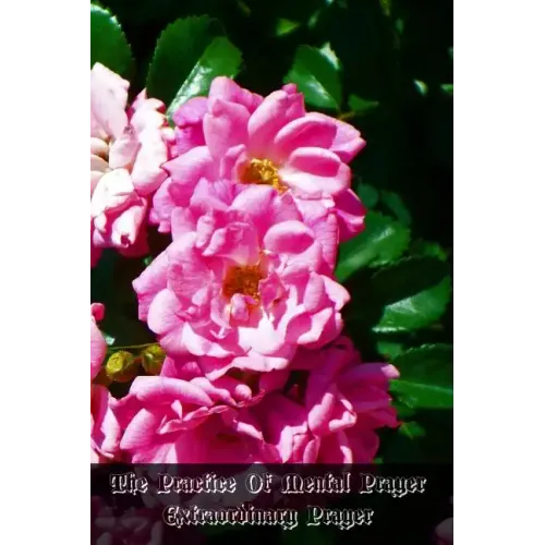 The Practice Of Mental Prayer: Extraordinary Prayer