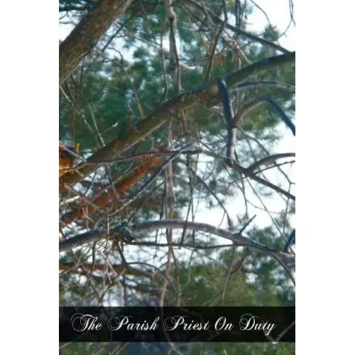 The Parish Priest On Duty: A Practical Manual For Pastors, Curates, And Theological Students Preparing For The Mission