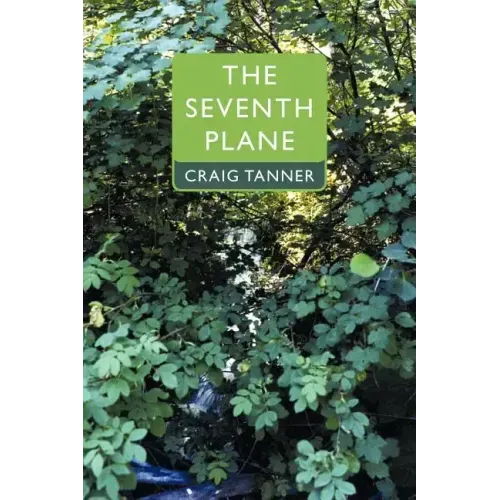The Seventh Plane