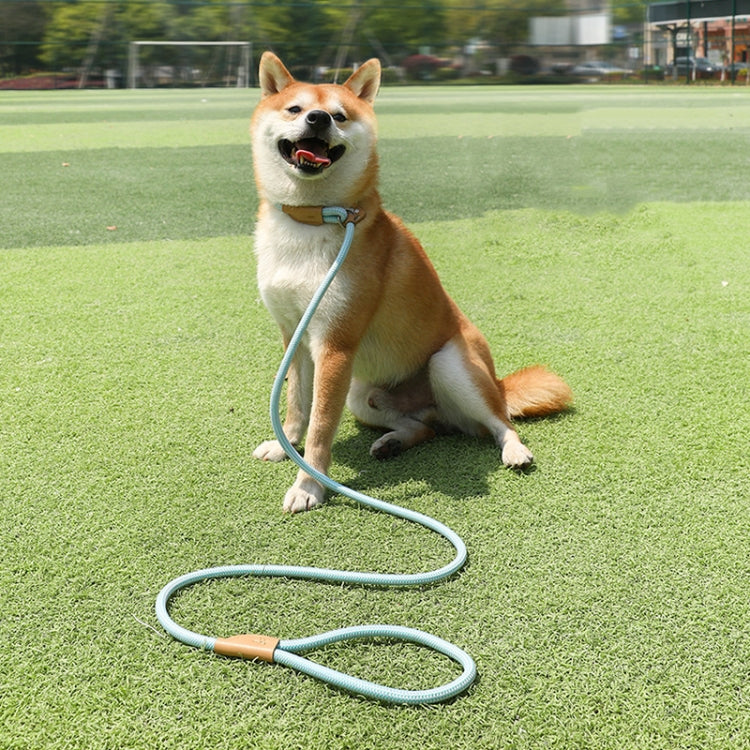 1.5m x 0.8cm Dog Traction Rope Mid Large Dog Universal Safety Buckle Chain Circle(Black)