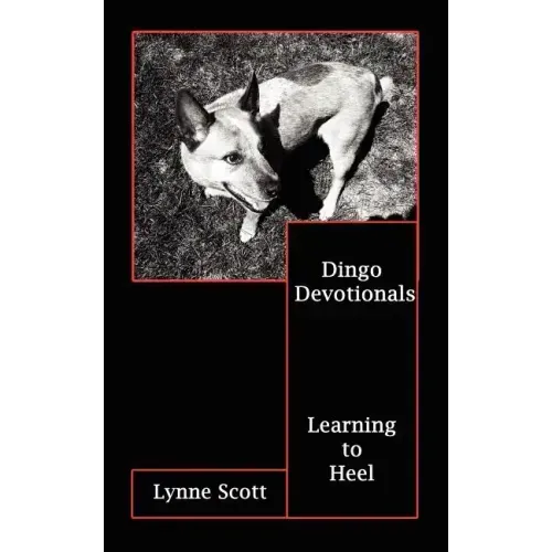 Dingo Devotionals: Learning to Heel
