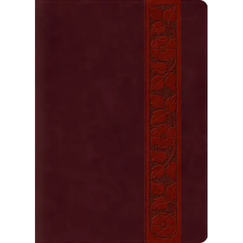 Study Bible-ESV-Large Print Trellis Design