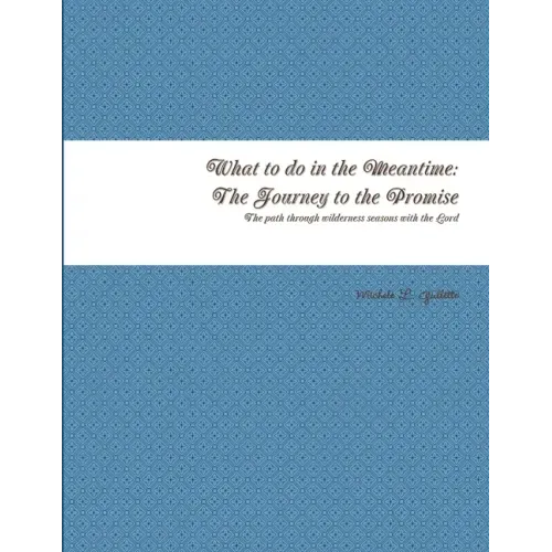What to do in the Meantime: The Journey to God's Promises