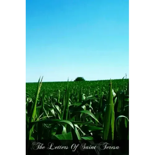 The Letters Of Saint Teresa