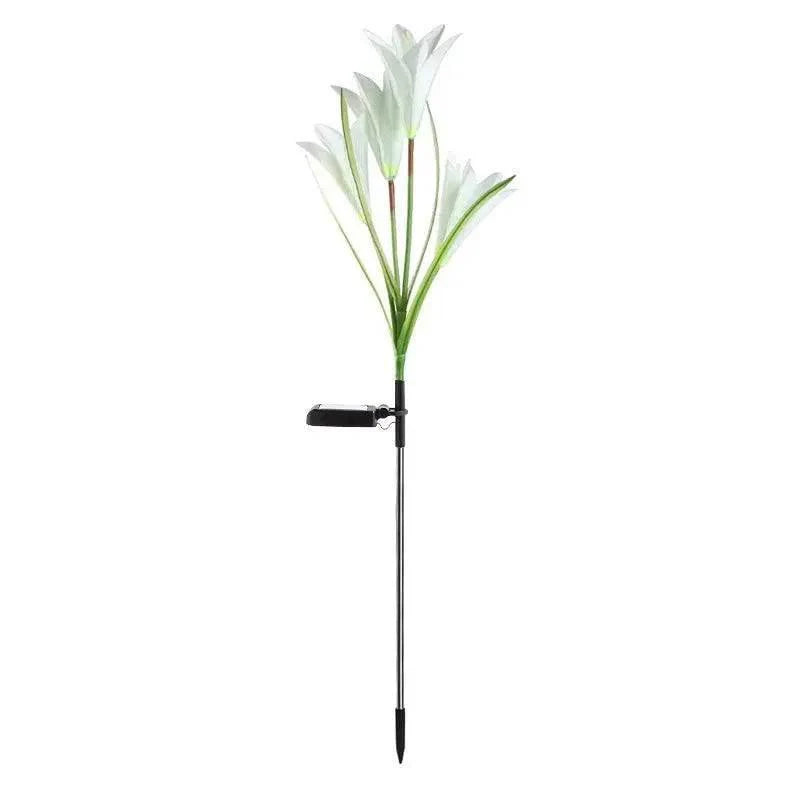 Dabsfavshop Outdoor Solar Lily Garden Lights - Decorative Pathway Lighting
