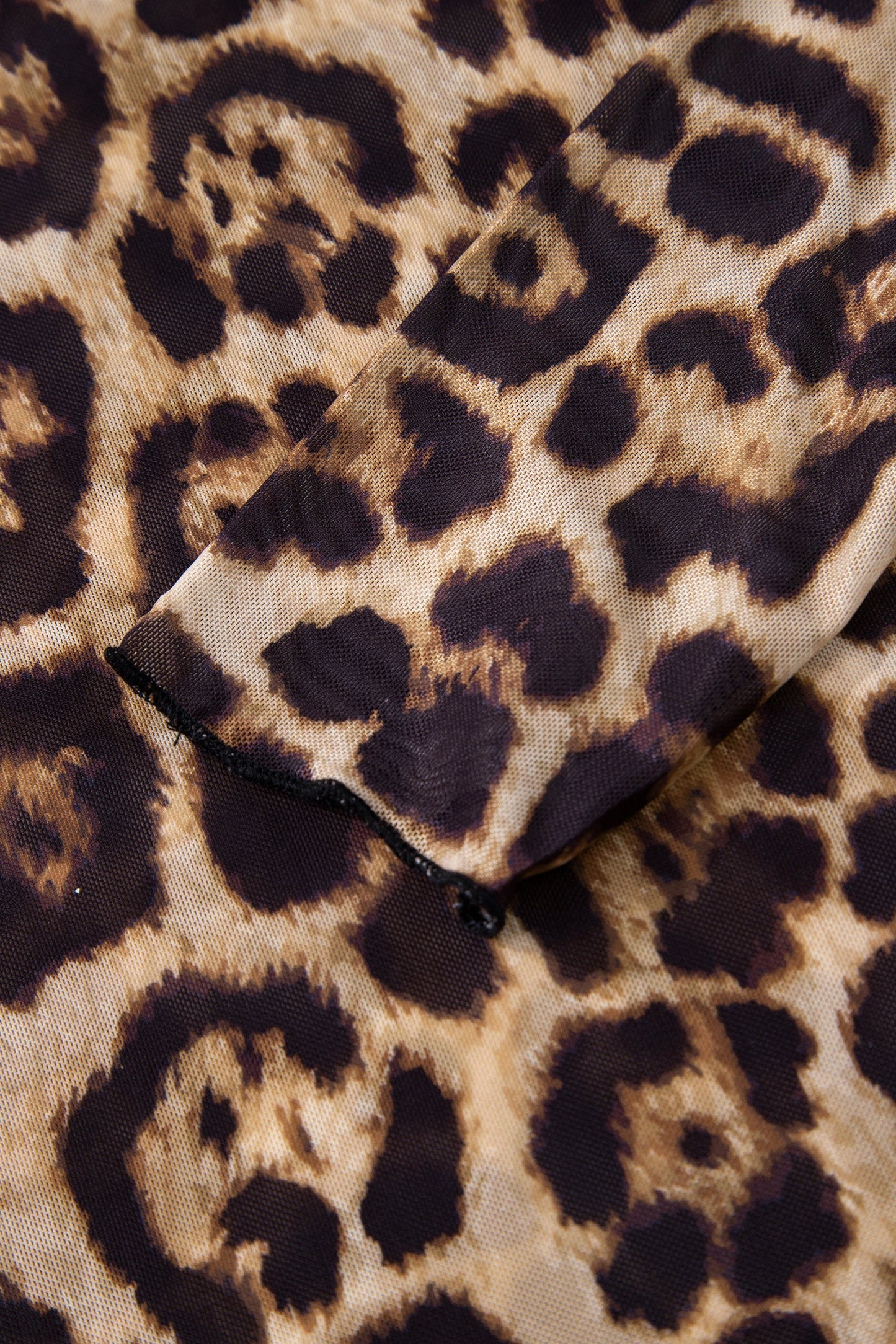 Leopard Mesh Mock Neck Long Sleeve Top