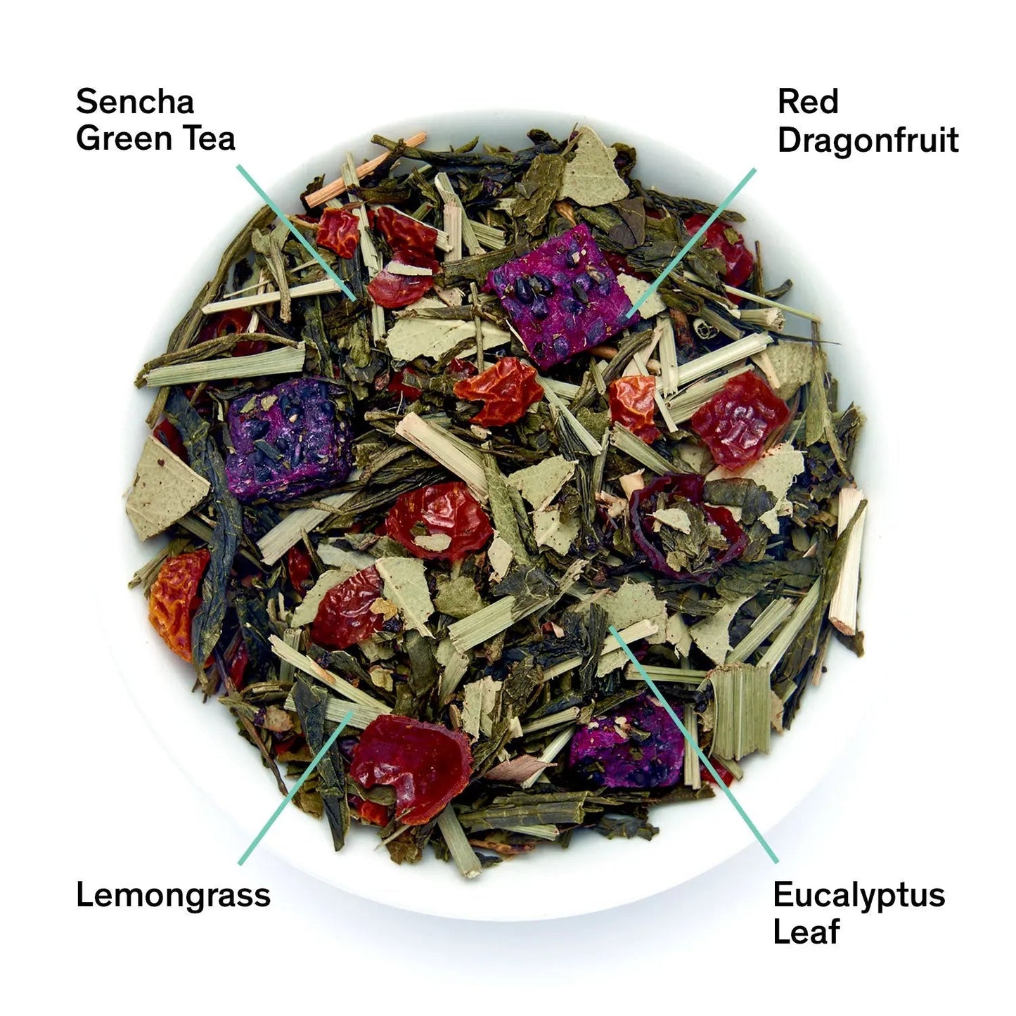 Tropic of Capricorn - Dragonfruit Melon Green Tea