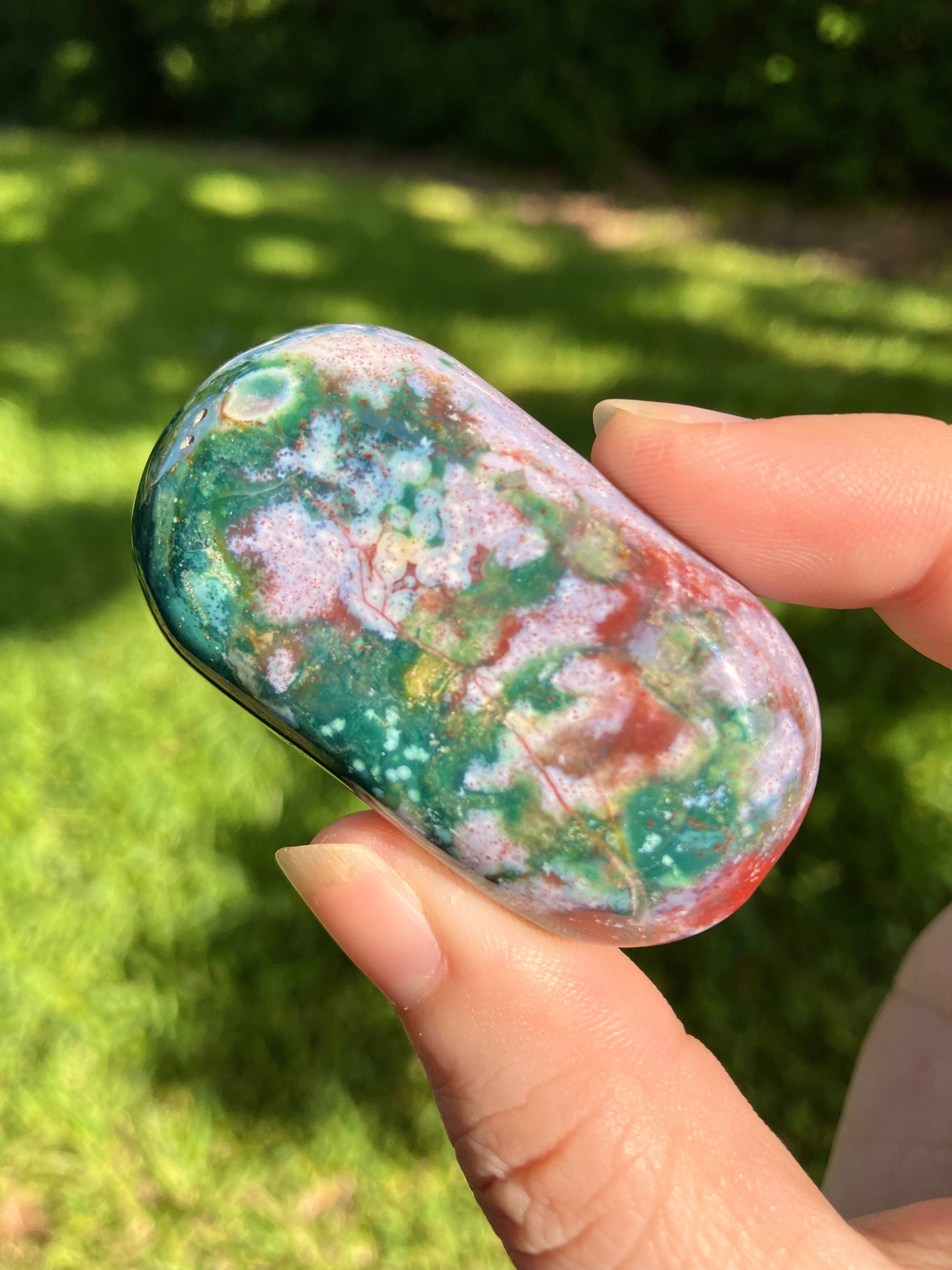 Ocean Jasper Mini Palm