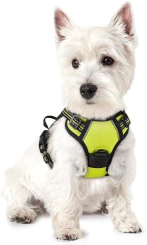 rabbitgoo Dog Harness No Pull