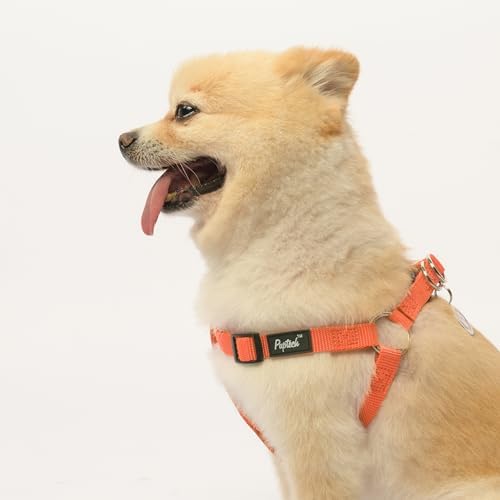 PUPTECK No Pull Dog Harness Small Sized Step-in Adjustable Puppy Vest