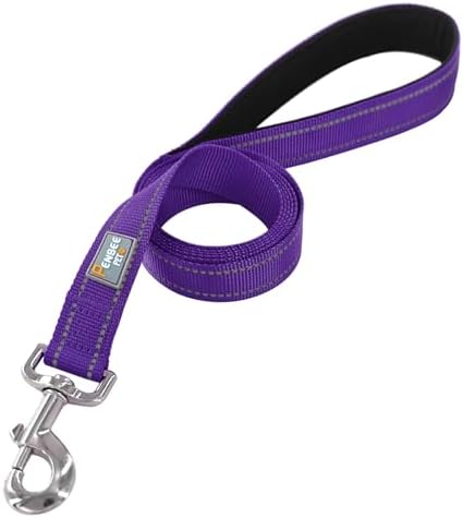 6 FT Basic Dog Leash for Medium Dogs