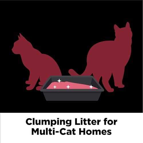 ARM & Hammer Clump & Seal Platinum Clumping Cat Litter, Online Only, 18 Lbs