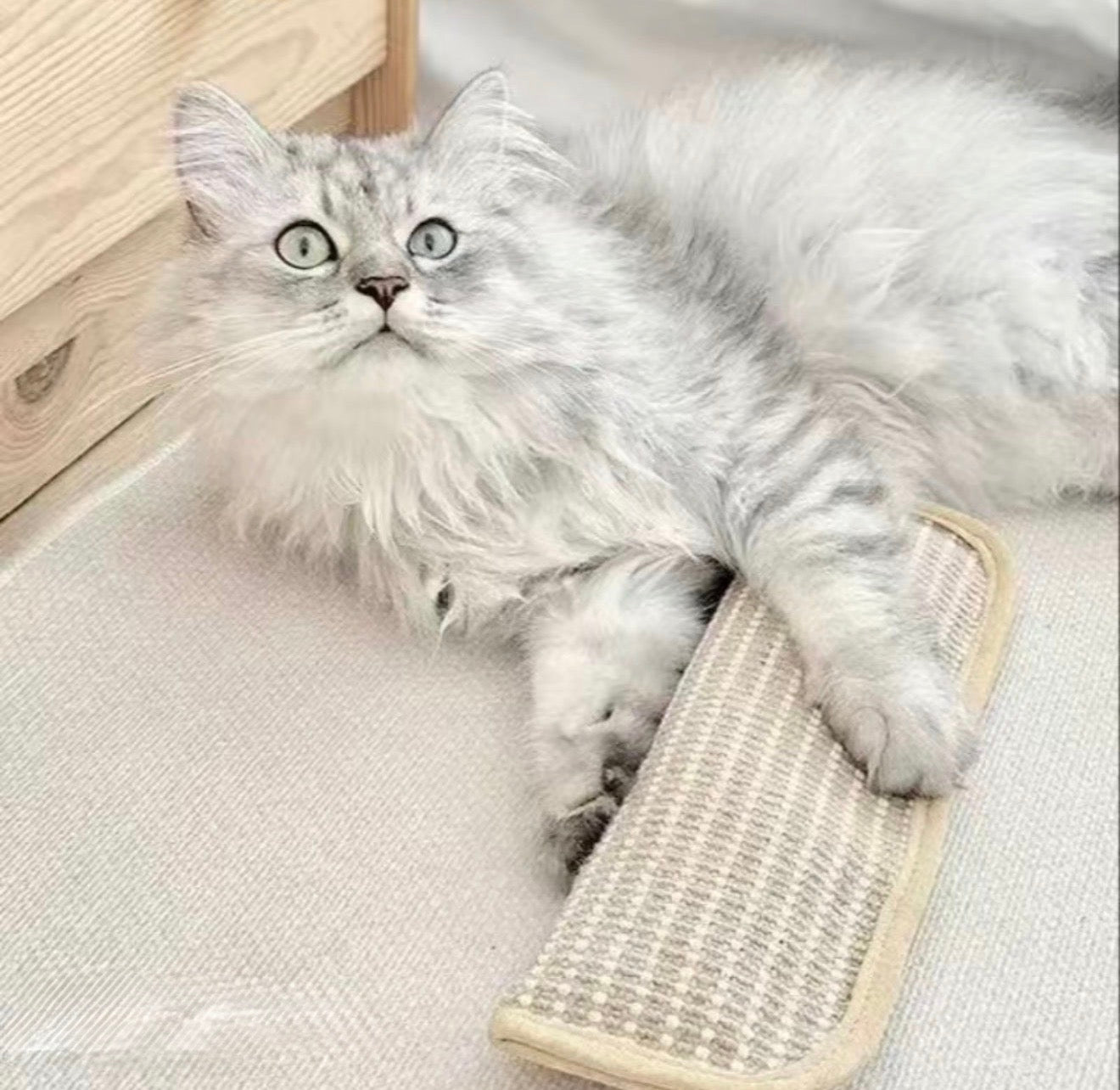 CatNip Fury Kicker