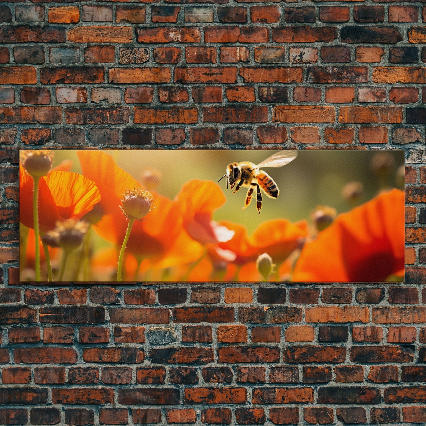 Panoramic Macro Photo Of a Honey Bee, Framed Canvas Print, Nursery Decor, Bee Art, Unique Wall Art / Gift Idea