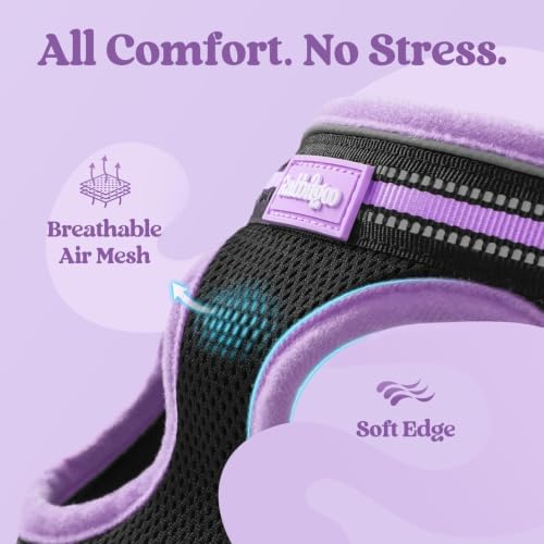 rabbitgoo Cat Harness and Leash Set, Step-in Soft Vest