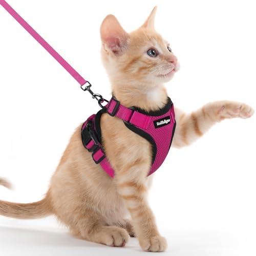 rabbitgoo Cat Harness and Leash Set, Escape Proof Vest, Rose Red