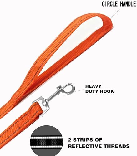 Nylon Training Dog Leash for Small Medium Dogs, 15ft 20ft 30ft 50ft 100ft