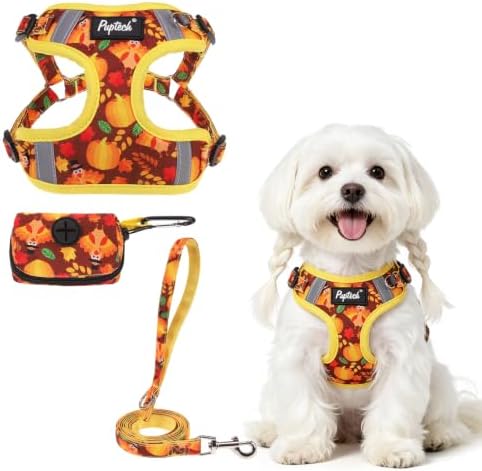 PUPTECK Thanksgiving Dog Harness and Leash Set Small Sized, Step in No Pull