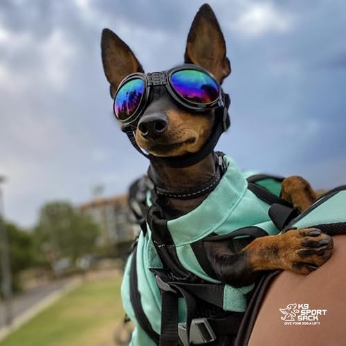 K9 Sport Sack Plus 2