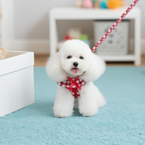 EXPAWLORER Step-in Dog Harness Small Sized and Leash Set
