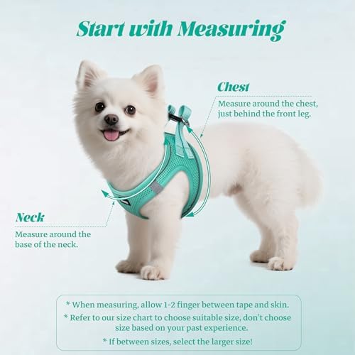 No Pull Dog Puppy Harness and Leash Set Reflective Mesh Vest Medium
