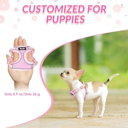 Lukovee Small Dog Harness and Leash Set, No Pull Lightweight Soft Mesh Vest