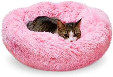 Whiskers & Friends Cat Beds for Indoor Cats, Fluffy Pink Cat Bed Small Dog