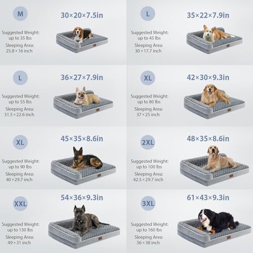 BFPETHOME Orthopedic Washable Dog Bed, Sleeping Couch