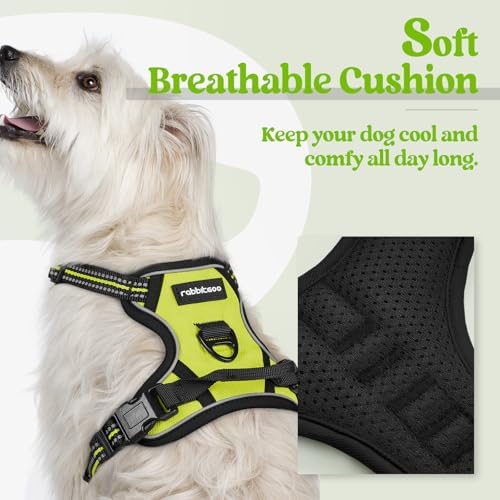 rabbitgoo Dog Harness No Pull