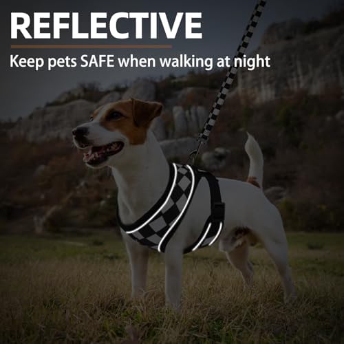 PUPTECK Small Dog Harness and Leash Set No Pull