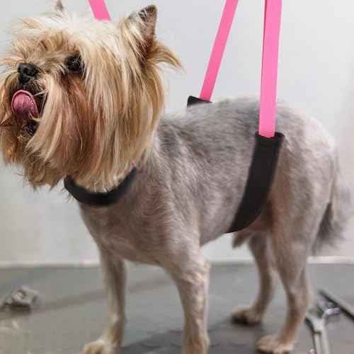Dog Grooming Belly Strap