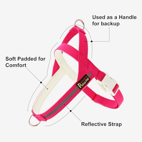 Plutus Pet Cotton Dog Harness and Leash Set, Reflective and Soft Padded